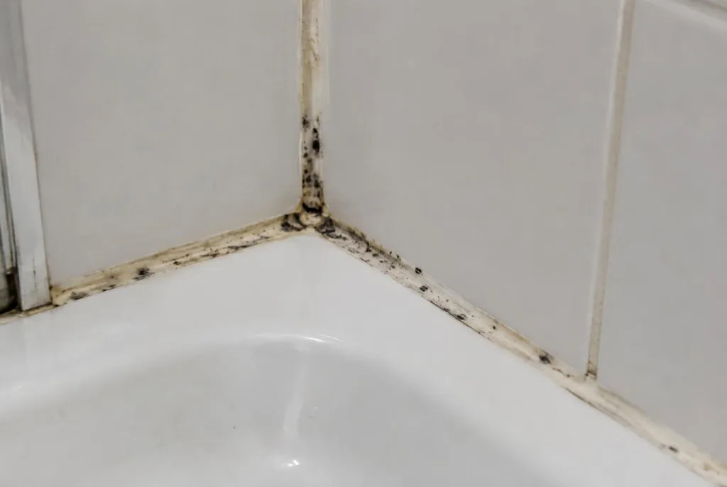 Kitbedrijf Blaricum – beschimmelde kitranden
